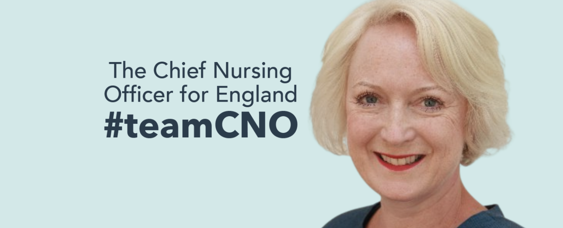 chief nursing officer for england strategic plan for research
